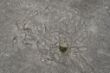 DSC01047.JPG