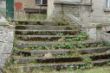 DSC01015.JPG