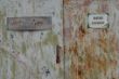 DSC00970.JPG