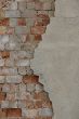 DSC00963.JPG