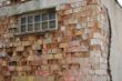 DSC00885.JPG