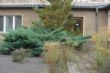 DSC00740.JPG