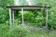 DSC00131.JPG