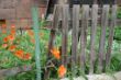 DSC00167.JPG