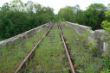 DSC00259.JPG
