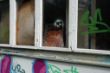 DSC00359.JPG