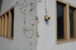DSC00421.JPG