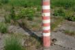 DSC00444.JPG