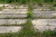 DSC00445.JPG