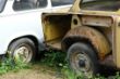 DSC00496.JPG