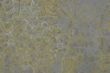 DSC00585.JPG