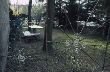 4680.jpg