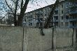 4955.jpg