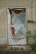DSC00442.JPG