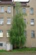 DSC00868.JPG