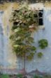 DSC01594.JPG