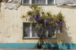DSC01685.JPG