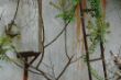 DSC00590.JPG