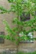 DSC00894.JPG