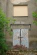 DSC00991.JPG