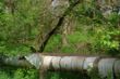 DSC01034.JPG