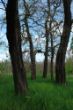 DSC01140.JPG