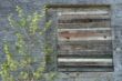 DSC01303.JPG