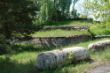 DSC01330.JPG